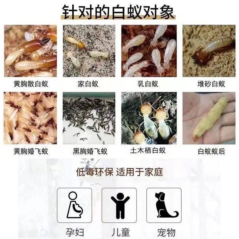 装修白蚁预防