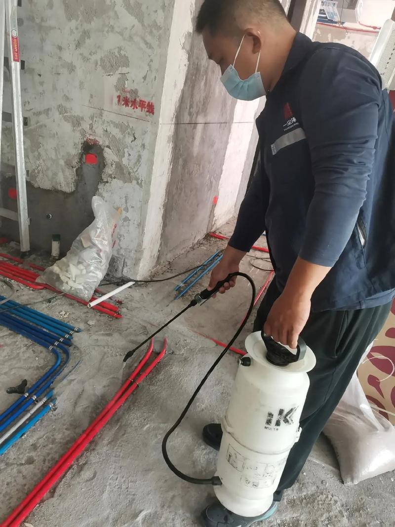新房白蚁预防