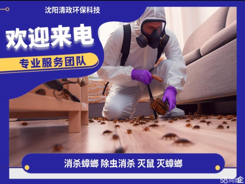 家庭除虫服务