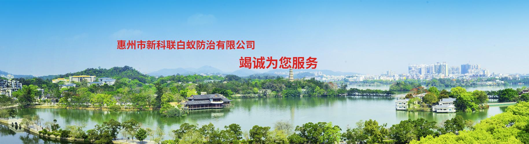 新科白蚁防治